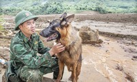  Bản tin 8H: Bộ Công Thương và Bộ Tài chính bổ nhiệm nhân sự chủ chốt 