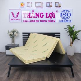 Top 3 nệm cao su non Thắng Lợi được ưa chuộng hiện nay  第2张