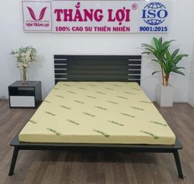 Top 3 nệm cao su non Thắng Lợi được ưa chuộng hiện nay  第1张