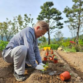 Cựu tổng thống Hàn Quốc Moon Jae In khoe khoai lang, đậu phộng tự trồng ở quê  第3张