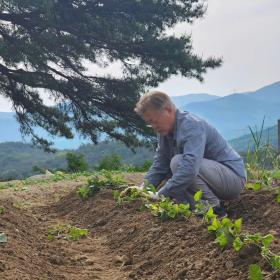 Cựu tổng thống Hàn Quốc Moon Jae In khoe khoai lang, đậu phộng tự trồng ở quê  第4张