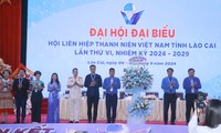  Chị Ngô Thị Thùy Trang làm Chủ tịch Hội LHTN Việt Nam tỉnh Định khóa VI 第10张