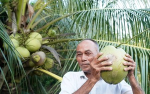 Thái Nguyên: Sau lũ lịch sử, huyện Phú Lương làm gì để phòng bệnh cho vật nuôi thuộc các dự án giảm nghèo?  第8张