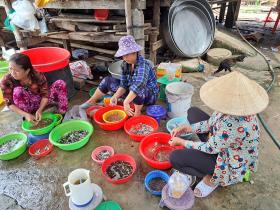 Chợ quê ở An Giang họp ngay mé sông Hậu, trên trời, dưới la liệt cá đồng ngon, người mua kẻ bán xôn xao