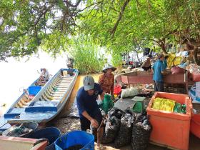 Chợ quê ở An Giang họp ngay mé sông Hậu, trên trời, dưới la liệt cá đồng ngon, người mua kẻ bán xôn xao