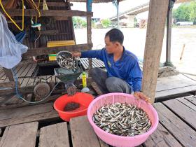 Chợ quê ở An Giang họp ngay mé sông Hậu, trên trời, dưới la liệt cá đồng ngon, người mua kẻ bán xôn xao