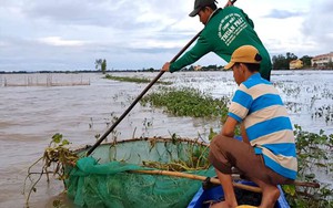 Chợ quê ở An Giang họp ngay mé sông Hậu, trên trời, dưới la liệt cá đồng ngon, người mua kẻ bán xôn xao