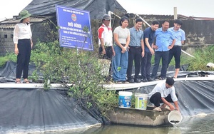 Dân 3 xã này của tỉnh Ninh Bình hoàn thành 19/19 tiêu chí nông thôn mới nâng cao, ý kiến của dân thế nào?