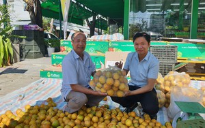 Đà Nẵng: Cán bộ, nông dân Thanh Khê sôi nổi tranh tài tại Hội thi Tuyên truyền viên giỏi năm 2024  第14张