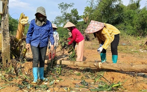 Làng cổ Cự Nẫm ở Quảng Bình xưa nay là xã nông thôn mới nâng cao, làng đẹp như phim