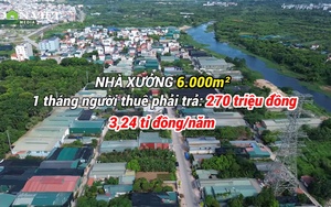 Hàng trăm nhà xưởng xây dựng trái phép trên đất nông nghiệp tại huyện Hoài Đức, Hà Nội (Video kỳ 1)