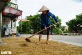 Nông dân nhìn trời... khóc hậu bão Yagi  第10张