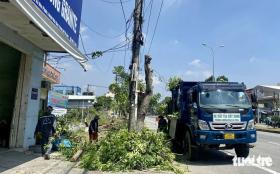 Cắt cây xanh trụi lá trên quốc lộ 1 qua Đà Nẵng