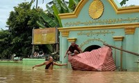  Giáo hoàng Francis kêu gọi trả tự do cho bà Aung San Suu Kyi 