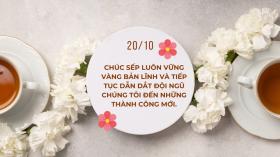 Lời chúc mừng Ngày Phụ nữ Việt Nam  20/10 tặng sếp, đồng nghiệp, nhân viên nữ