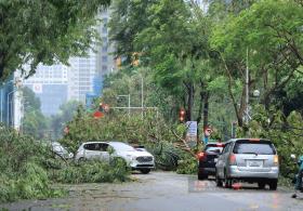 Tượng đài Cảm tử bị cây xanh đè trúng, đường phố Hà Nội rợp bóng bộ đội