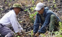  Nhạc, thơ của Phạm Duy, Trần Tiến, Nguyễn Duy đánh động ý thức bảo vệ môi trường 第11张