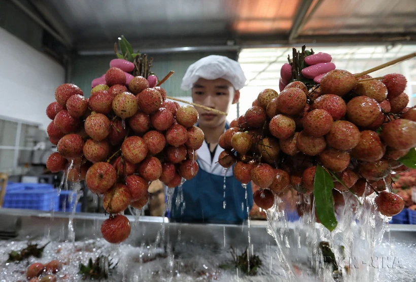  &quot;Ứng dụng công nghệ cao là chìa khóa thành trong phát triển nông nghiệp&quot; 第1张