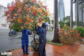 Ngư dân Đà Nẵng chi tiền triệu thuê xe cẩu thuyền lên bờ tránh bão  第12张