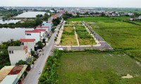  Xuyên đêm đấu giá 54 thửa đất huyện Quốc Oai 