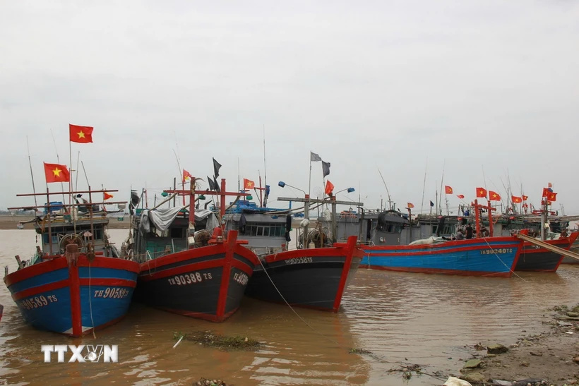  Thanh Hóa chủ động ứng phó với áp thấp nhiệt đới có khả năng mạnh lên thành bão 