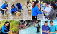  Tuyên dương Thanh niên tiên tiến làm theo lời Bác và trao giải &apos;Sao vàng cao su&apos; 第11张