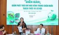  Cơ hội để Việt Nam thúc đẩy kết nối thị trường carbon 第7张