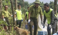  Tập huấn kỹ năng bảo vệ động vật hoang dã cho bạn trẻ 第12张