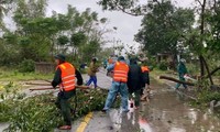  Bản tin 8H: Tiền Giang có tân nữ Chủ tịch HĐND tỉnh 